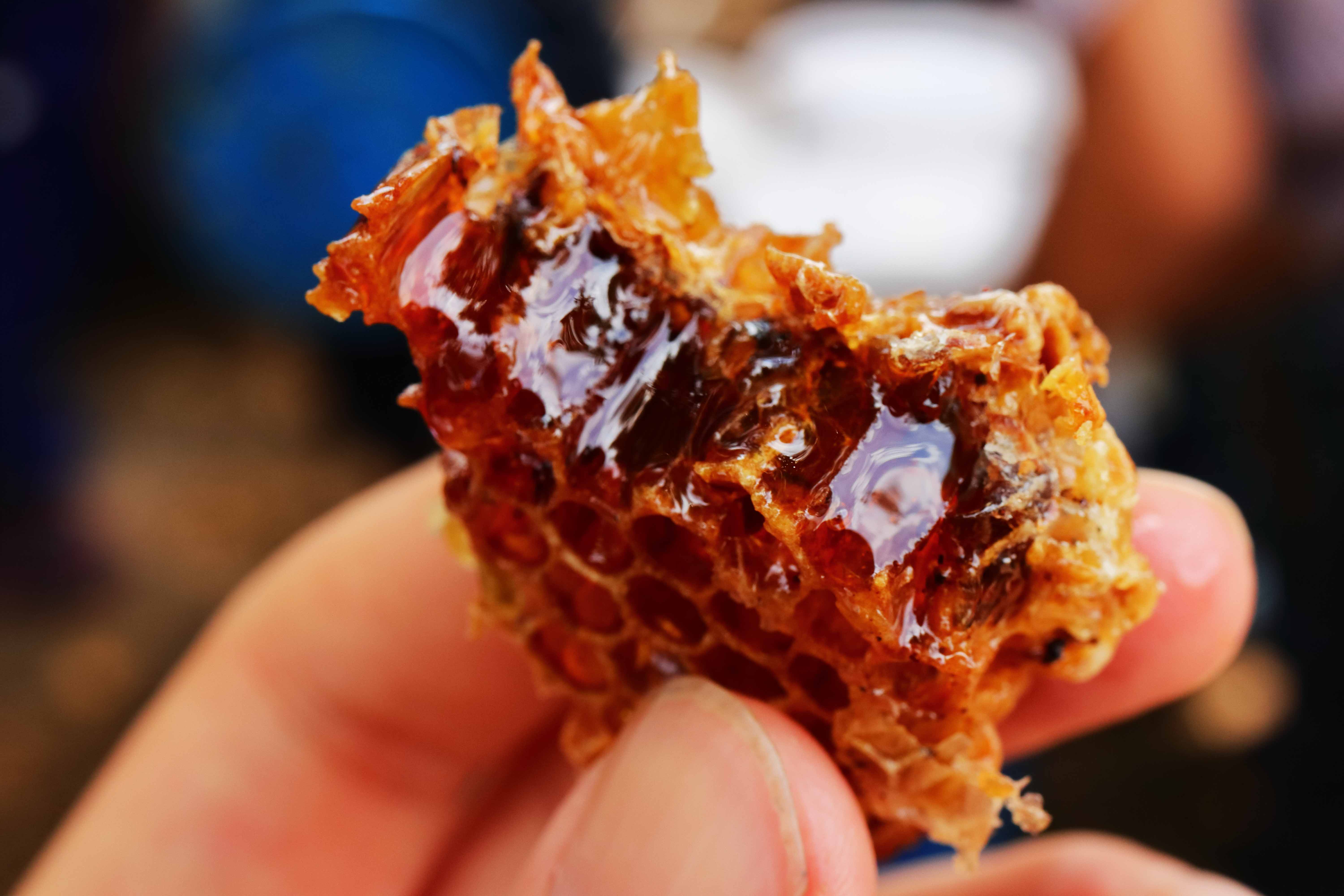 非洲野生蜂蜜支持一件代发,寻求带货分销.