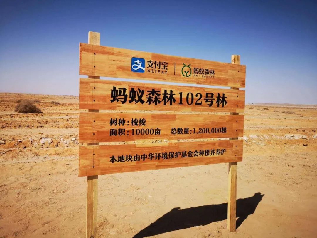 微信图片_20211213142331.jpg