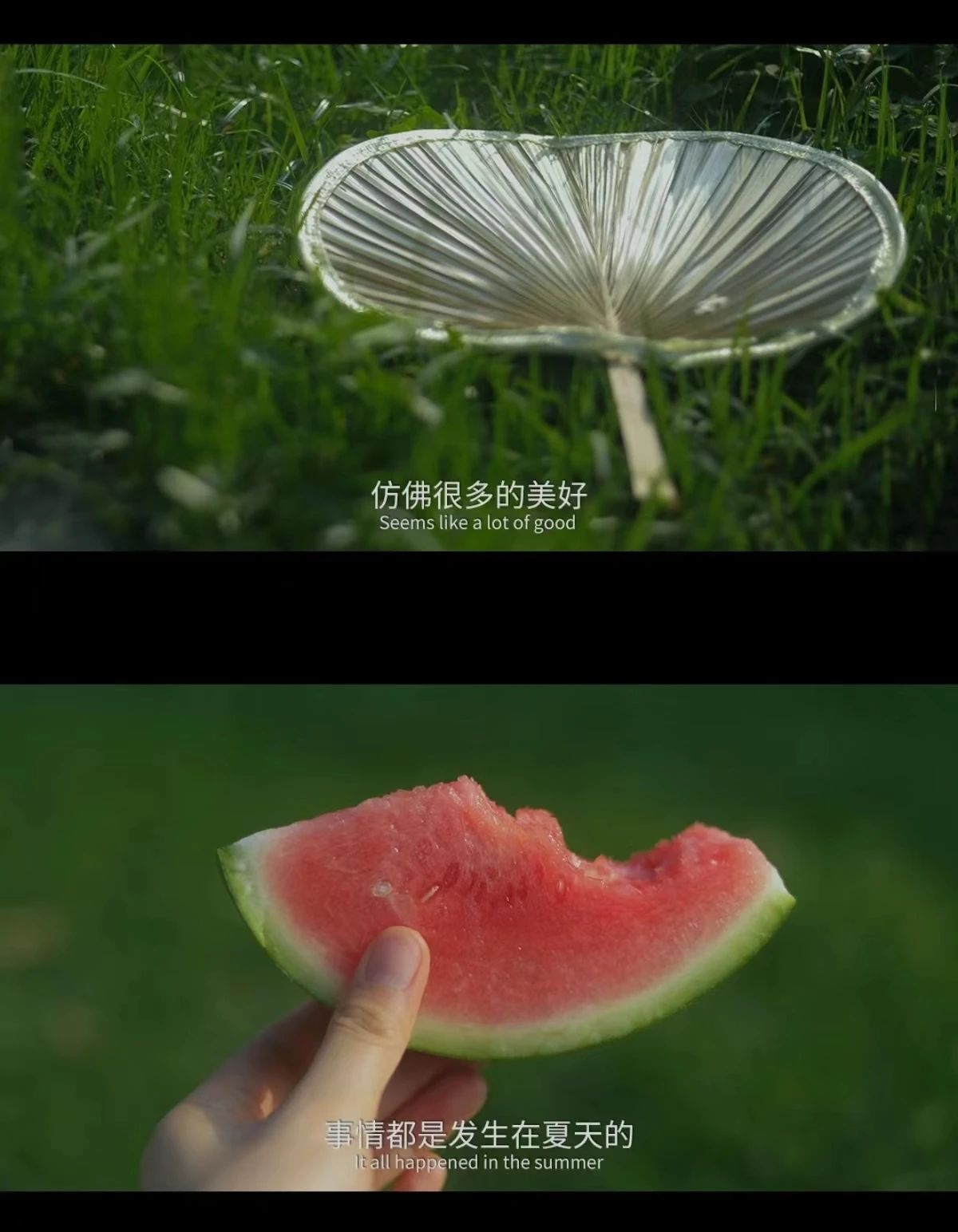 微信图片_20230608085105.jpg
